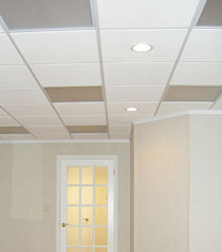 Basement Ceiling Tiles for a project we worked on in Virginia, Minnesota and Wisconsin