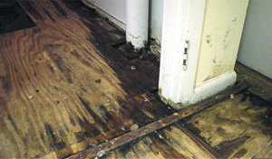 Basement Wood Subflooring with Mold and Rotting issues