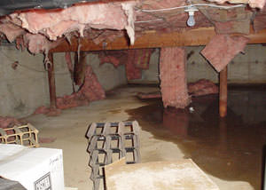 fiberglass insulation dripping off the ceiling of a crawl space in Duluth.