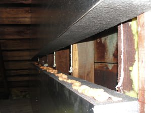 An effective attic insulation system in a Elk River home