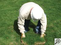 Restoring the landscaping by replacing removed sod on the ground for a Duluth home.