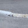 Slab floor cracks showing in a Eau Claire home