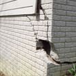 foundation walls cracked due to settlement in Duluth