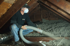 Tru-Soft Cellulose Insulation