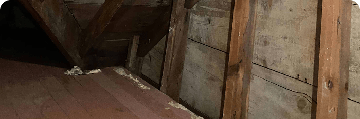 insulation-moisture