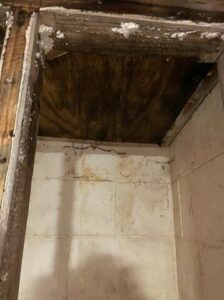 Waterproofing_before_DBS waterproofing solution before