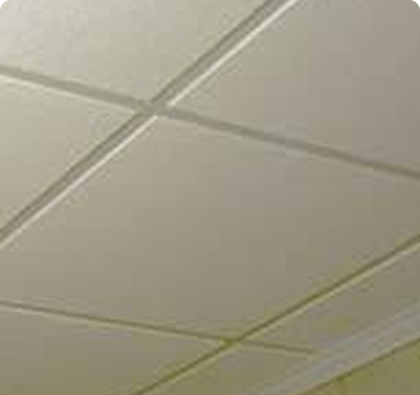 Basement Ceiling mold & mildew resistant
