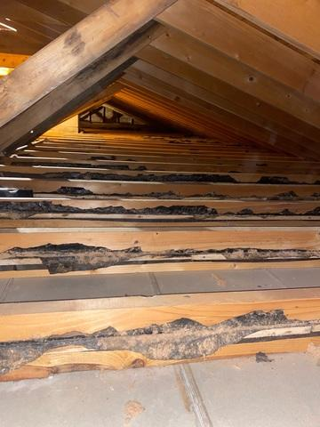 Attic with no insulation causing heat loss in Cloquet MN