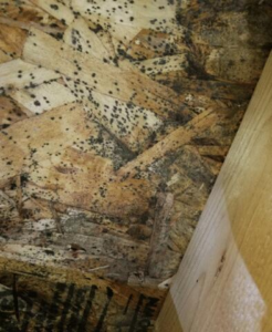 Attic with ineffective insulation in Solon Springs WI