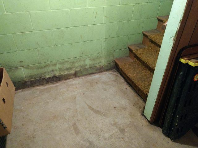 Dark moisture staining along the base of a green painted concrete block wall next to a carpeted staircase in a Waconia, MN basement before a professional waterproofing system installation.