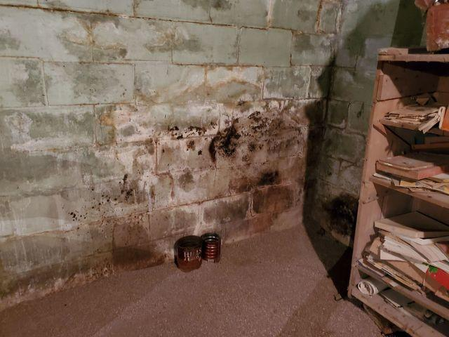 Heavy dark moisture staining and white efflorescence across a bowing block foundation wall near storage shelves in Walker, MN.