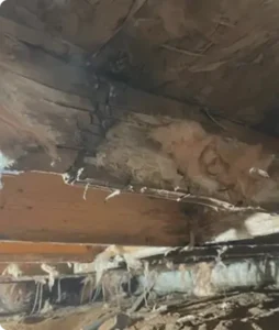 before-crawl crawlspace smartjack before