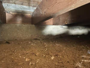 Crawl space causing cold floors and musty odors in Ridgeland WI