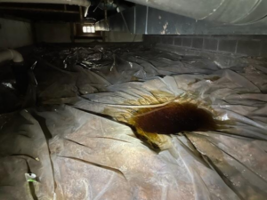 Wet crawl space before waterproofing in Superior, WI