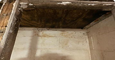 dbsreapir-basementwaterproofng-services
