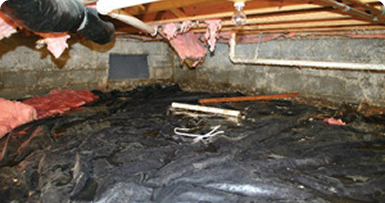 dbsreapir-crawlspaceservices