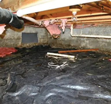 dbsrepair-crawlspace-esp crawl space repair encapsulation
