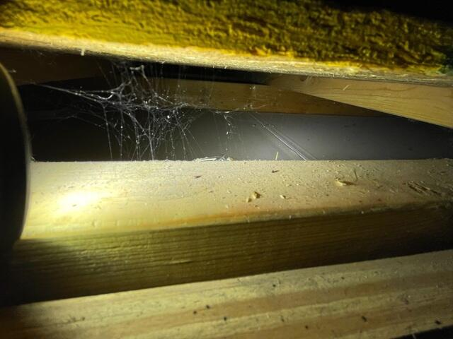 Interior view of uninsulated wooden wall framing inside a two story residential garage before insulation upgrades in Blaine Minnesota
